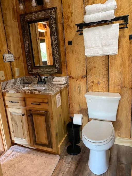 The Llaguna Lodge - New Cabin, Sleeps 10, Fire Pit, Hot Tub, In Blue Ridge , Ga Экстерьер фото
